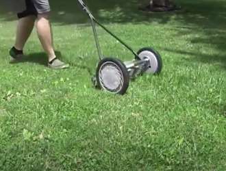 Mulch with an American Lawn Mower